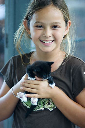 kitten0727-4.jpg