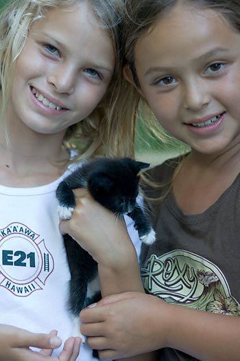kitten0727-6.jpg