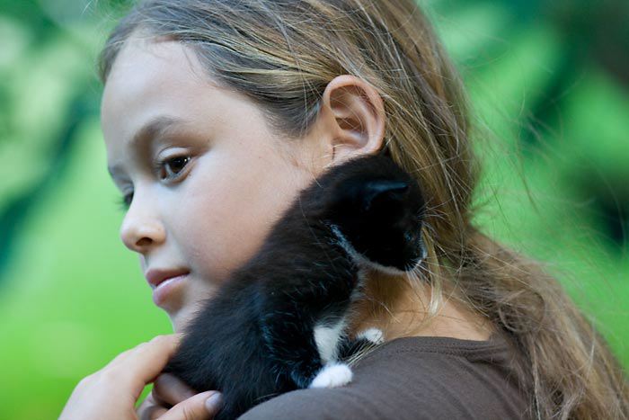 kitten0727-9.jpg