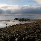 Gray morning