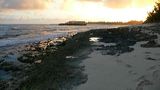 Turtle Bay