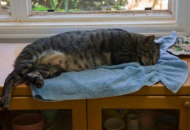 img_3035.jpg