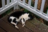 img_3620