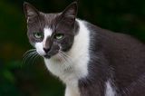 img_3645