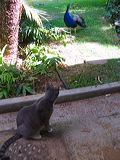 img_2468
