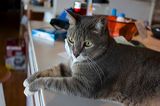 img_3852