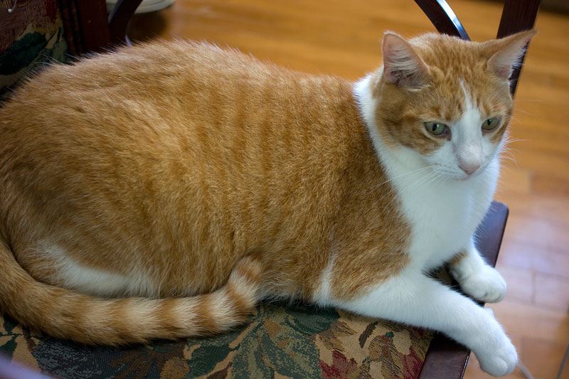 img_6523.jpg