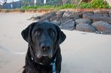 img_0937