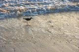 img_0946
