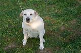 img_0951