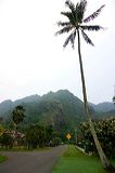 img_7025