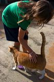 img_4182