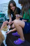 img_4197