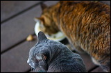 img_9103
