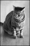 img_9085