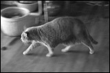 img_9227