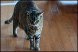 img_0589