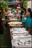 img_1782