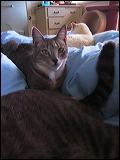 aut_1216