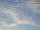 clouds