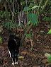 crw_3048