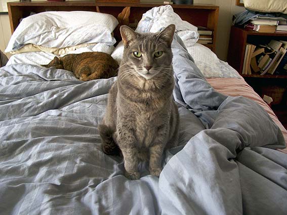 crw_2260
