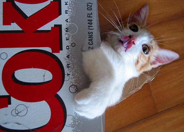 coke