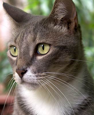 crw_5598
