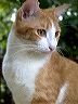 crw_5631