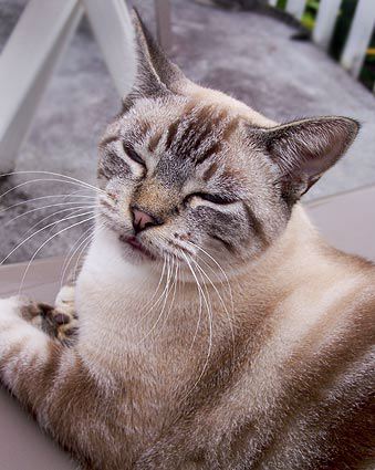 crw_6437.jpg