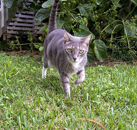 crw_6439.jpg