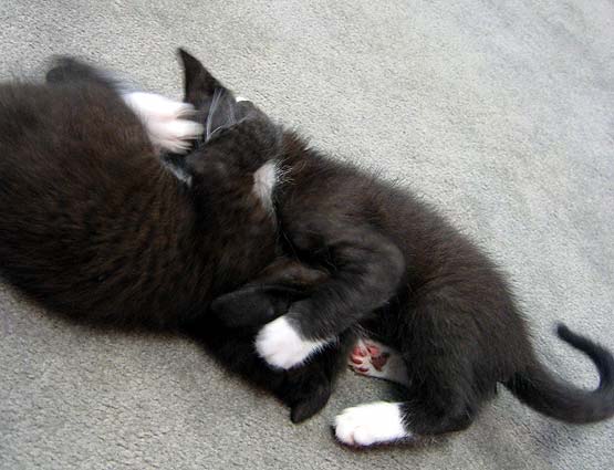 img_1290