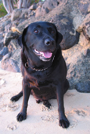 axel