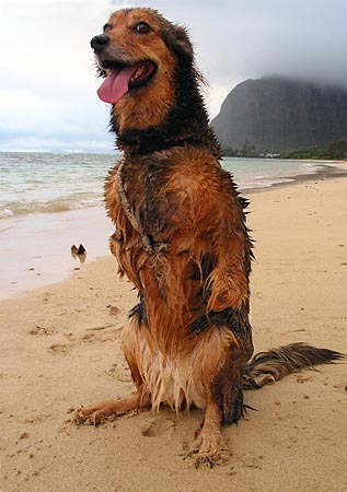 roo3