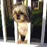 lucy