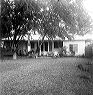 kealaolu-1940s