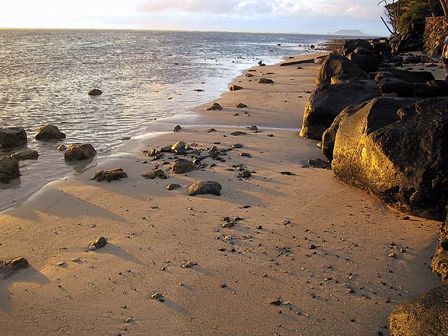 rocks