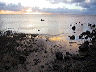 low_tide