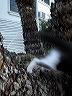 lizzie_exits