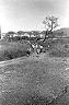 03_makua1_06-37