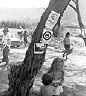 04_makua1_43-2