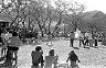 05_makua1_43
