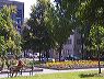 crw_5067