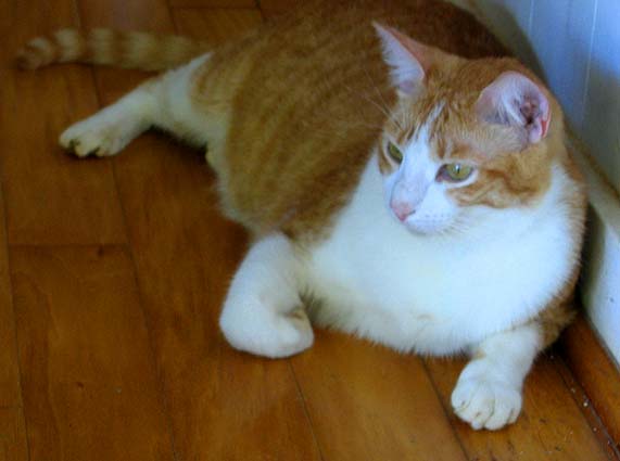 img_2625