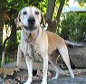 img_1657