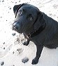img_1691