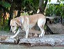 img_1739