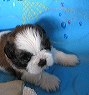 img_1780