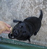 img_6138