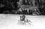 wedding_064
